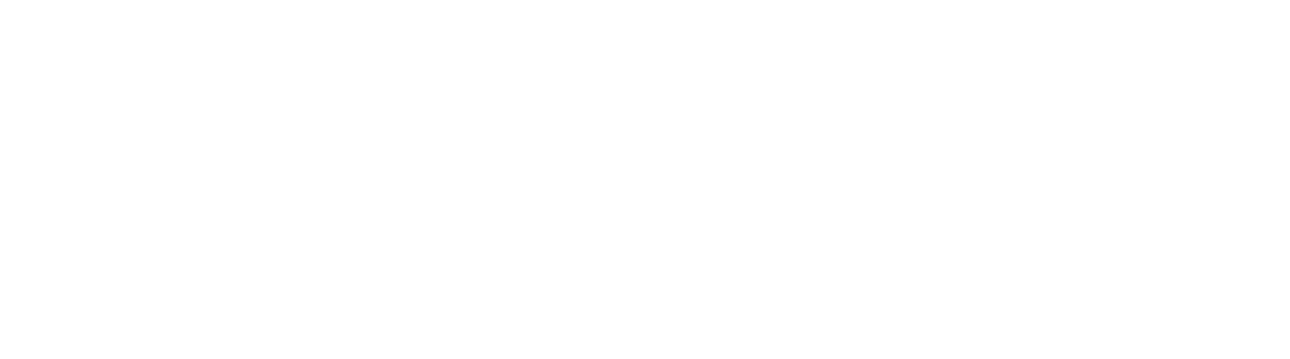 velero left logo color white Bg transparent